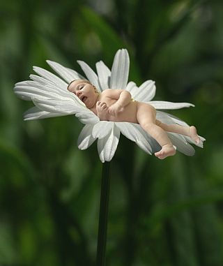 Bebé y flor